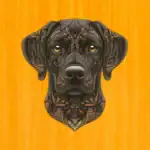 Věrný labrador – Dřevěné puzzle 2