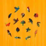 Tropický papoušek – Dřevěné puzzle 3